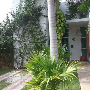 Casa Rioja Playacar Bed and breakfast Playa del Carmen